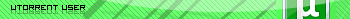 Utorrent user