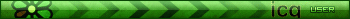 ICQ