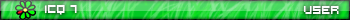 ICQ 7 user