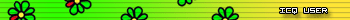 -=ICQ User=-