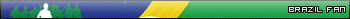 Brazil fan