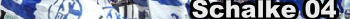 Schalke04