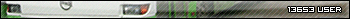 13653 user