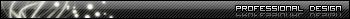 Professional Design