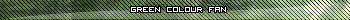 Green colour fan