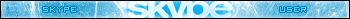 Skype user
