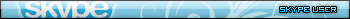 Skype user