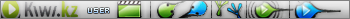 kiwi.kz