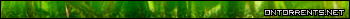 ontorrents.net