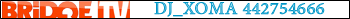 BRIDGETVFORUM