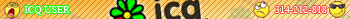 ICQ 314-212-818