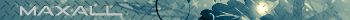 MAxAll