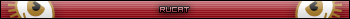 Rucat