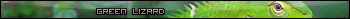green lizard