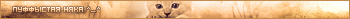 Ïóôôûñòàÿ Íÿêà ^_^
