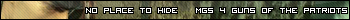 MGS_hide