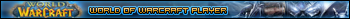 World Of Warcraft player