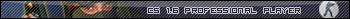 CS 1.6 Professional Player
