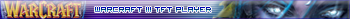 WarCraft III TFT Player