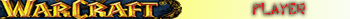 playerwarcraft