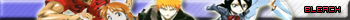 Bleach fan