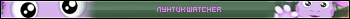 Лунтик watcher