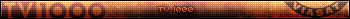 TV 1000