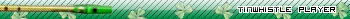 Tin Whistle Player